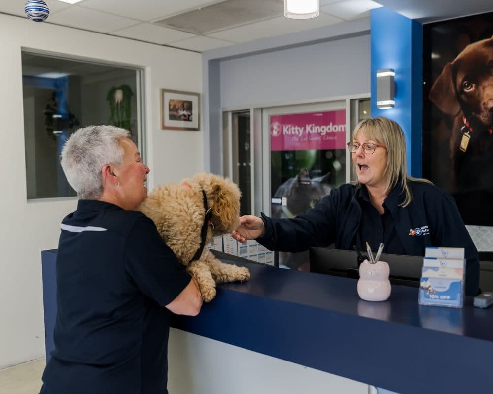 Hanrob Pet Hotels Melbourne Airport